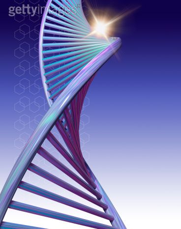 DNA is a double
                  helix formed by base pairs attached to a
                  sugar-phosphate backbone.